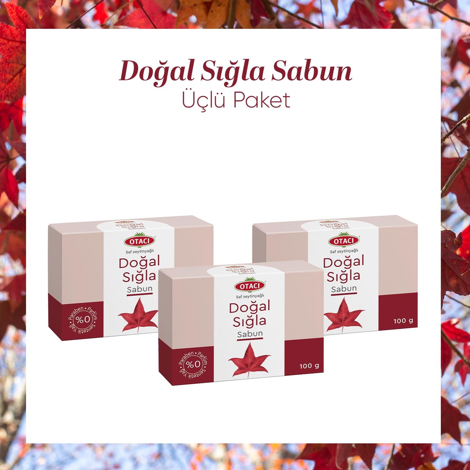 Natural Sweetgum Soap 3 pack