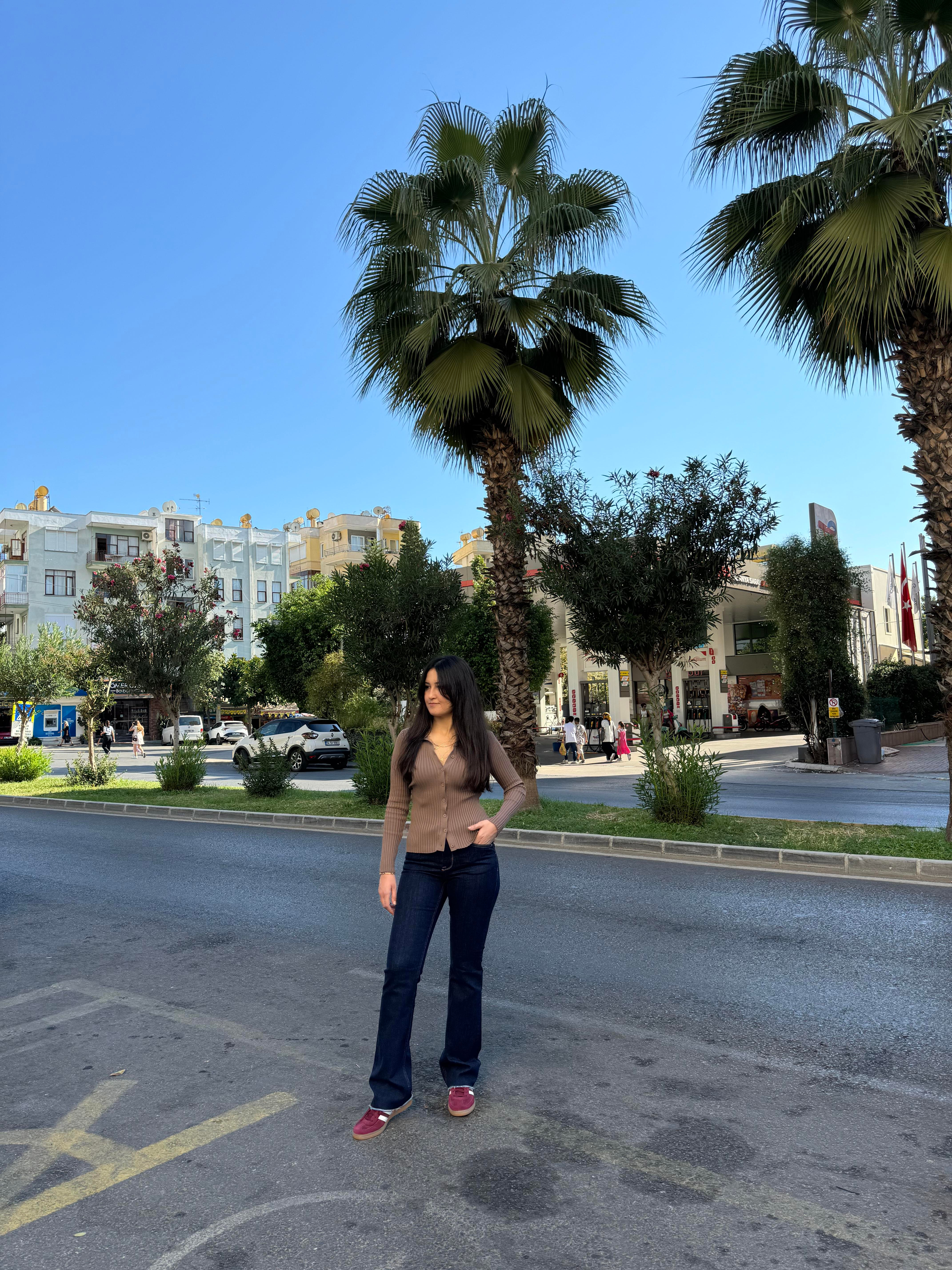 Polo Yaka Düğmeli Vizon Triko