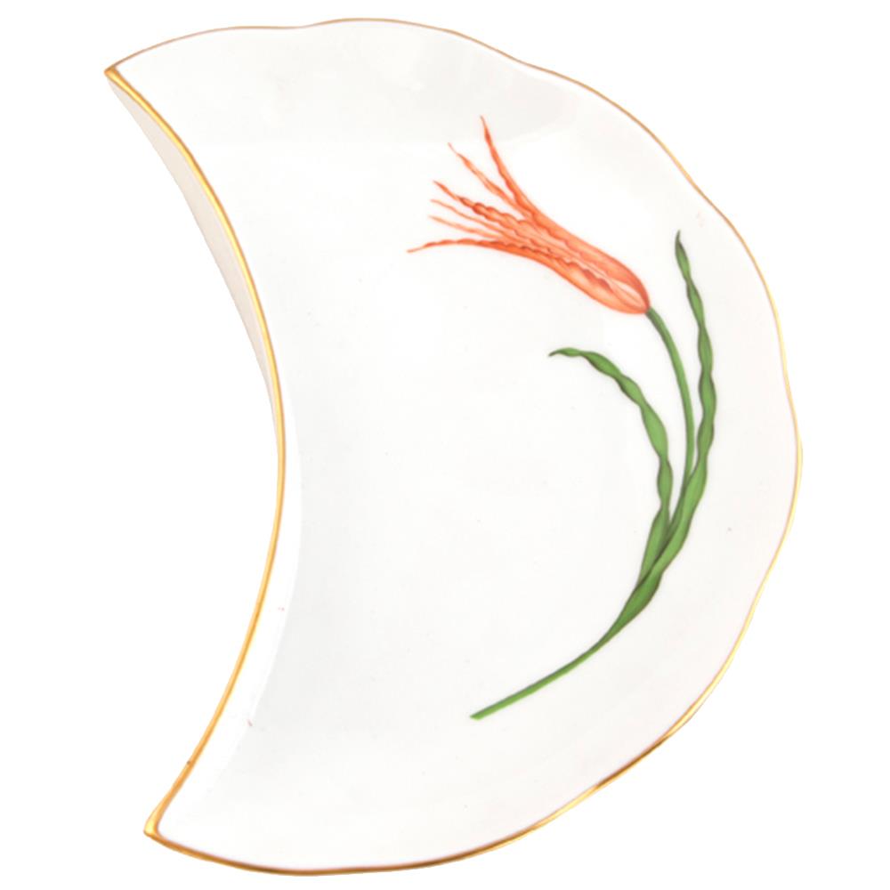 Salata Tabağı