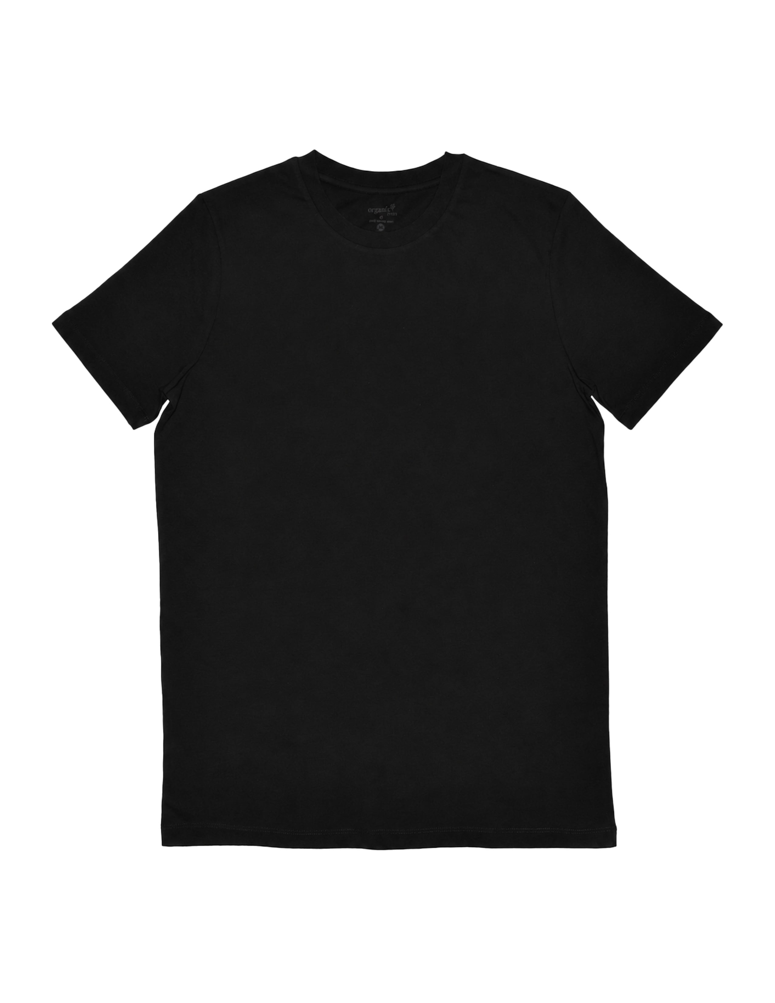 Basic Erkek Bisiklet Yaka Siyah T-shirt