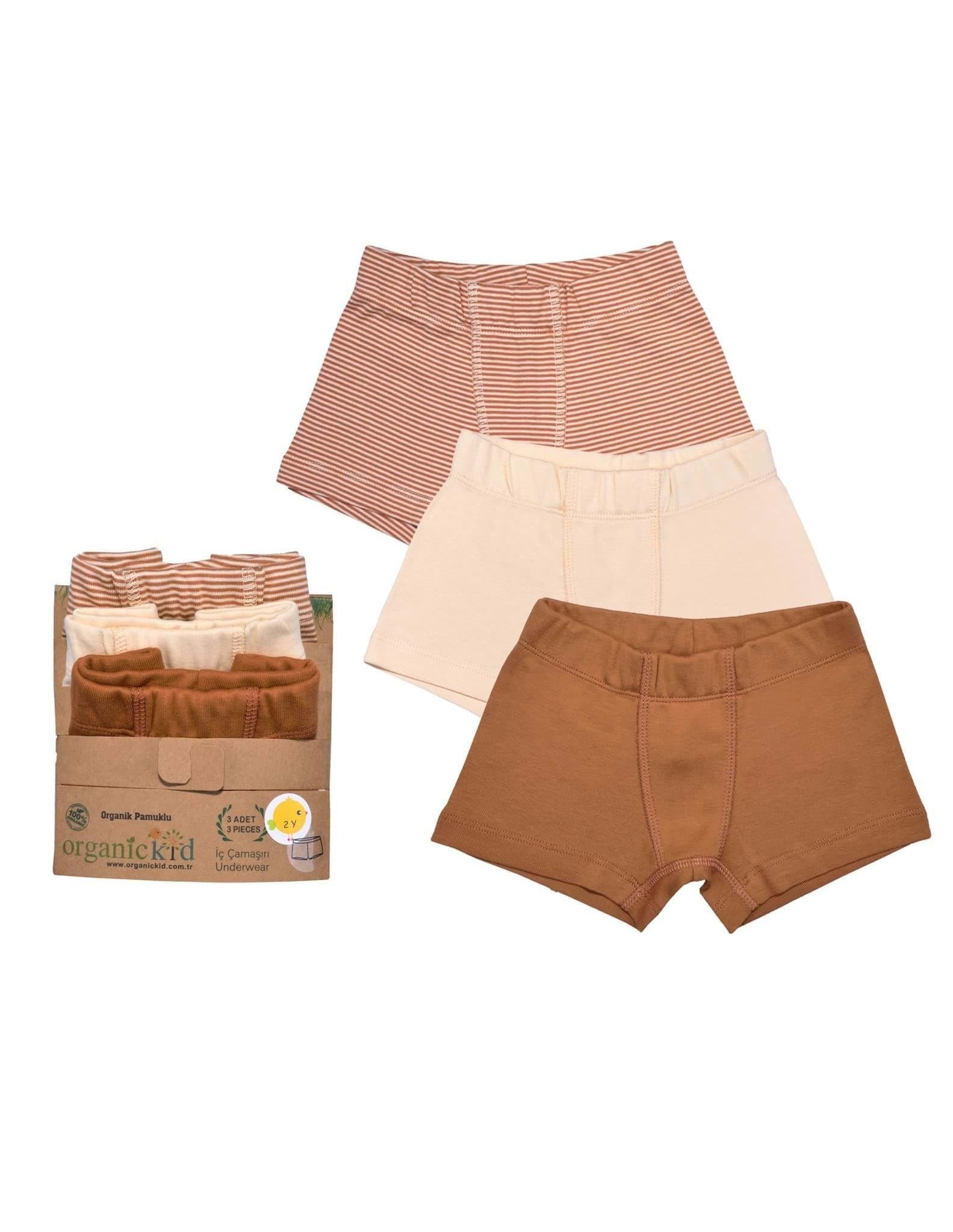 Cinnamon Erkek Çocuk İç Çamaşır Set 3lü