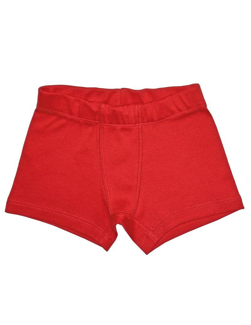 Cookie Erkek Çocuk İç Çamaşır Set 3'lü 