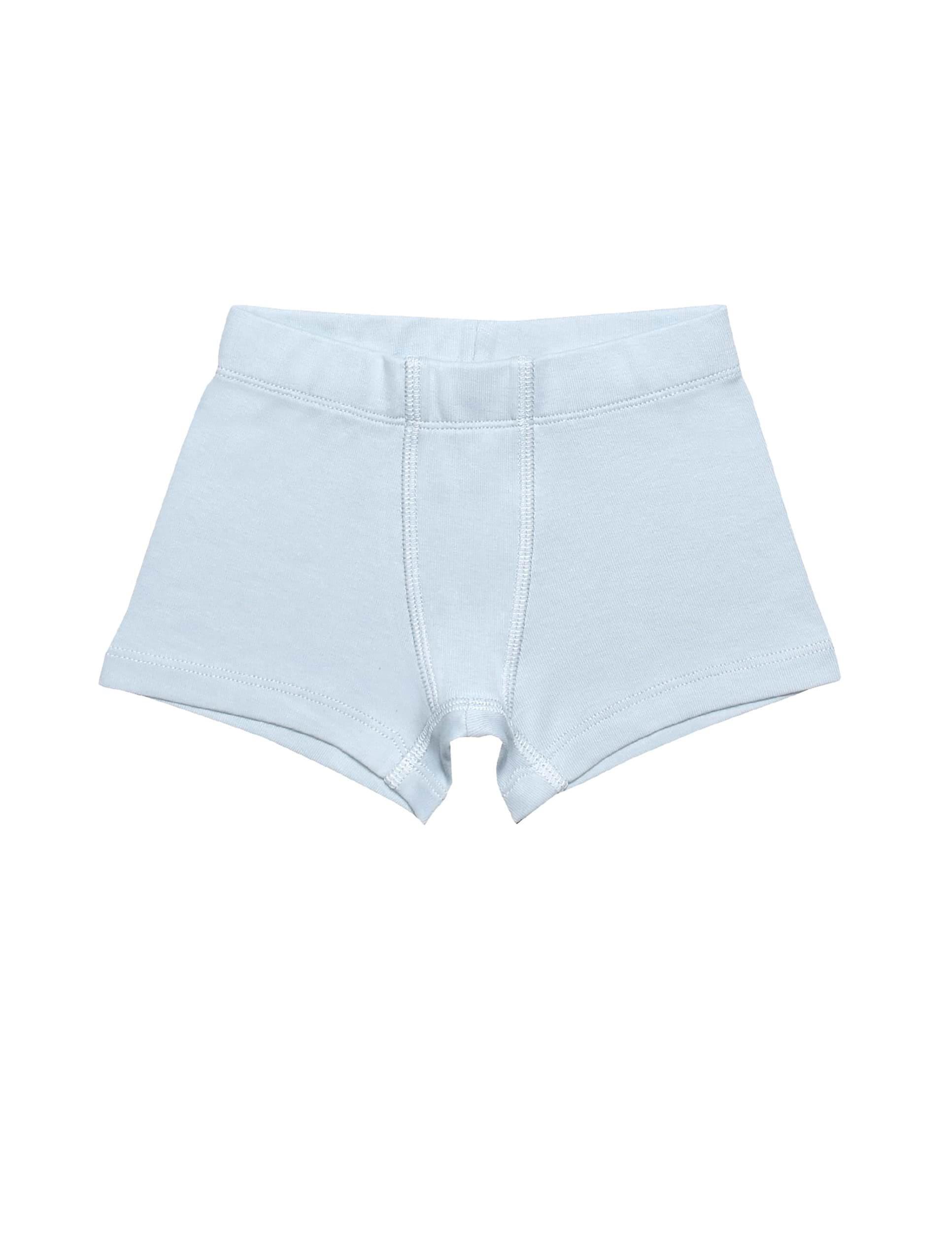 Cotton Erkek Çocuk Mavi/Gri Boxer Set 3lü