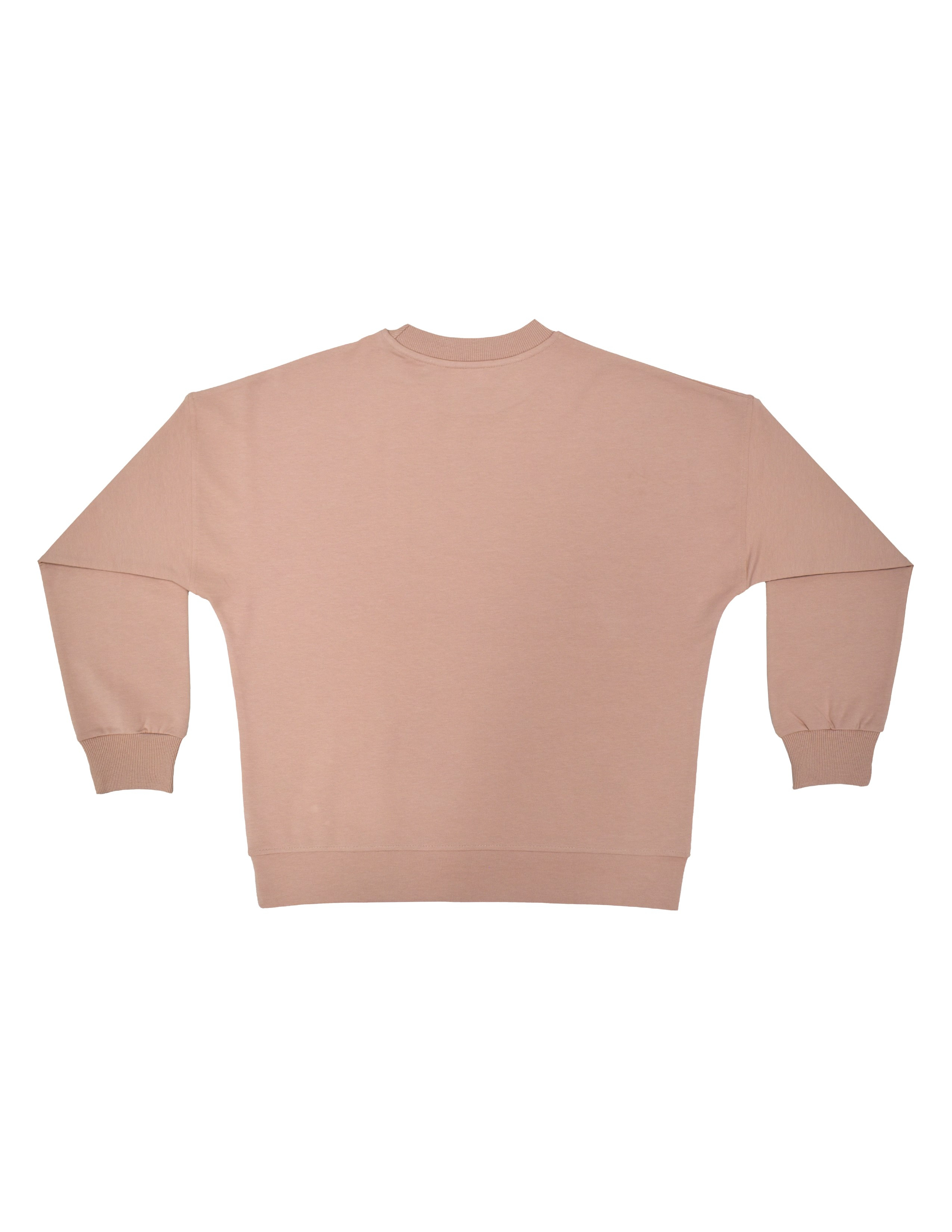 Dusty Rose Kadın Gül Kurusu Dikişli Sweatshirt