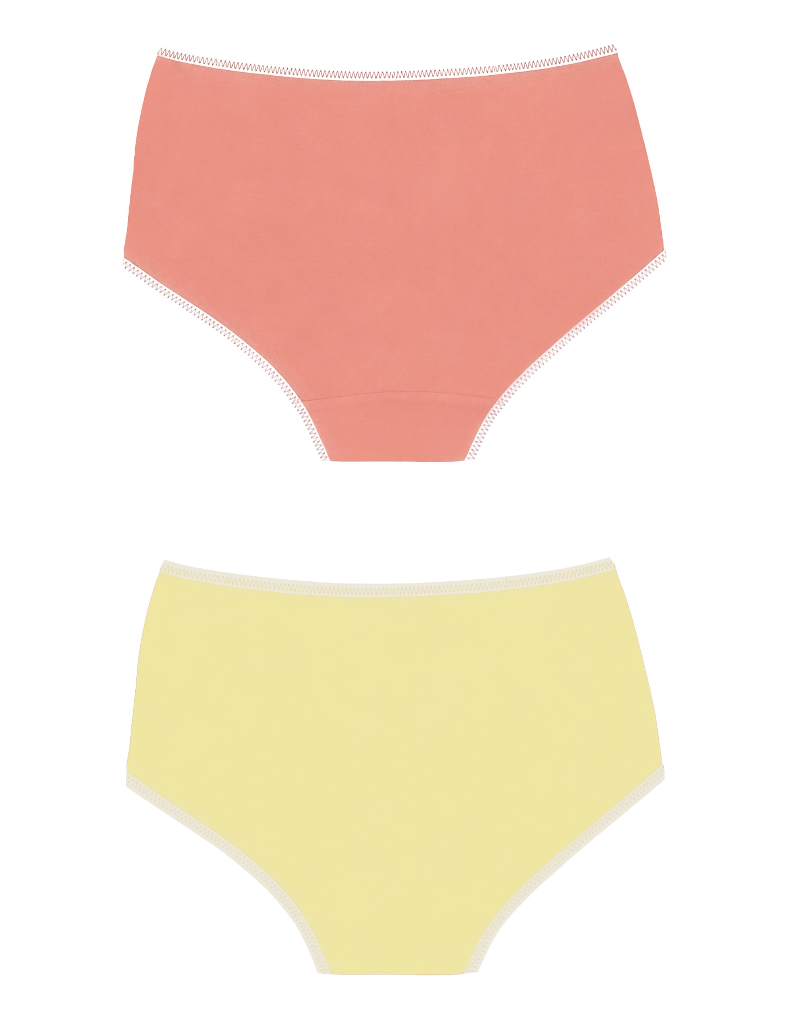 Ease Kadın Gülkurusu-Sarı Yüksek Bel Slip Külot 2'li Set