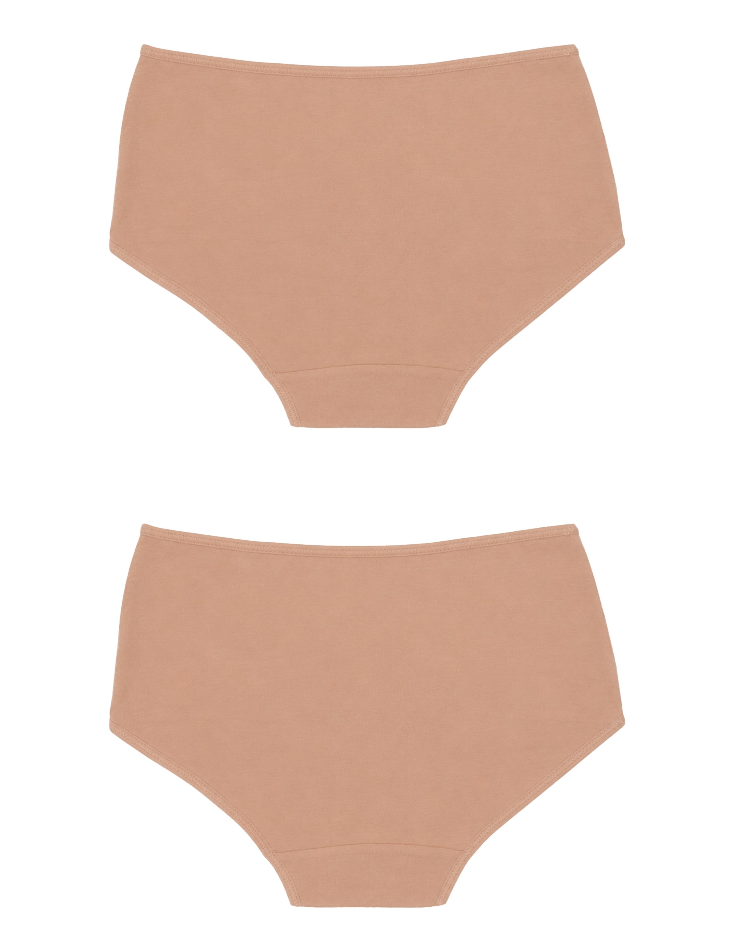 Ease Kadın Ten Yüksek Bel Slip Külot 2'li Set