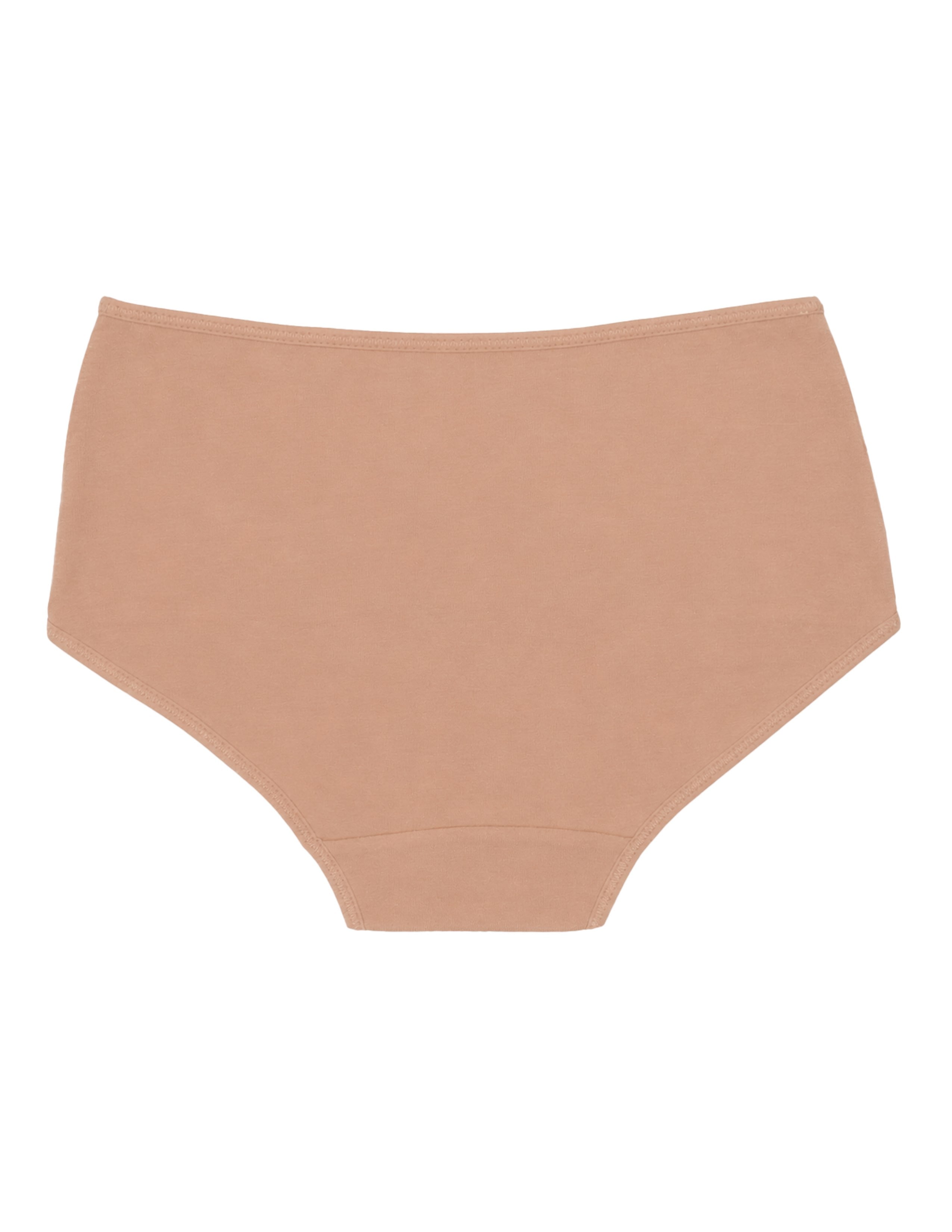 Ease Kadın Ten Yüksek Bel Slip Külot 2'li Set