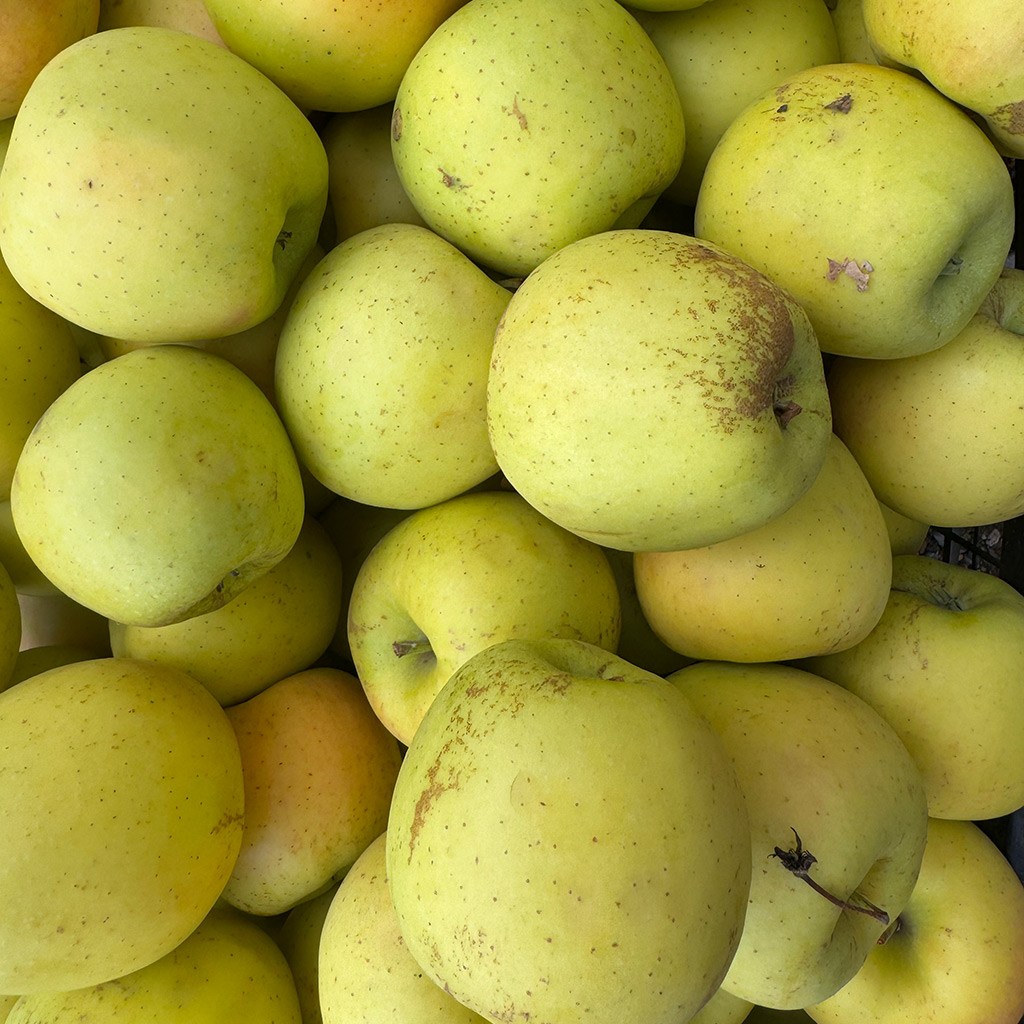 Fethiye Golden Yayla Elması (1 Kg.)
