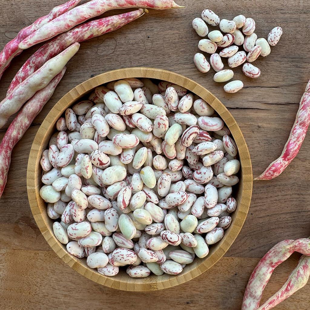 Taze Yayla Barbunyası (1 Kg.)