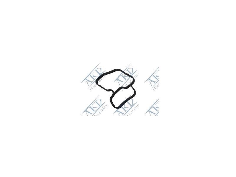 AKD 55578715 | A16xht B16sh Yağ Fılıtre Adaptor Contası 650153