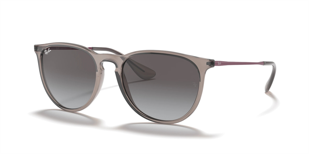 RAYBAN RB 4171 Erika 65138G 54
