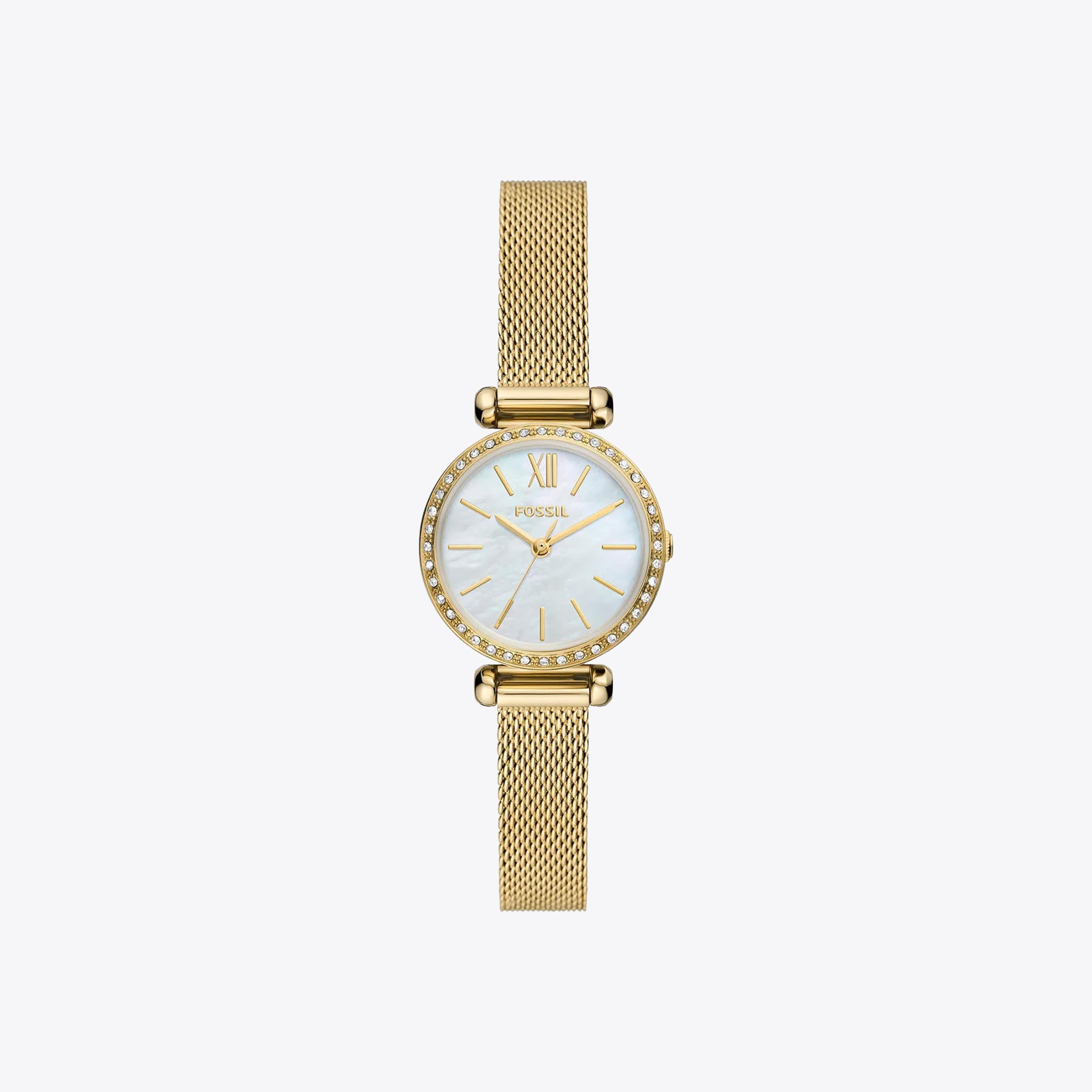 Fossil Saat
