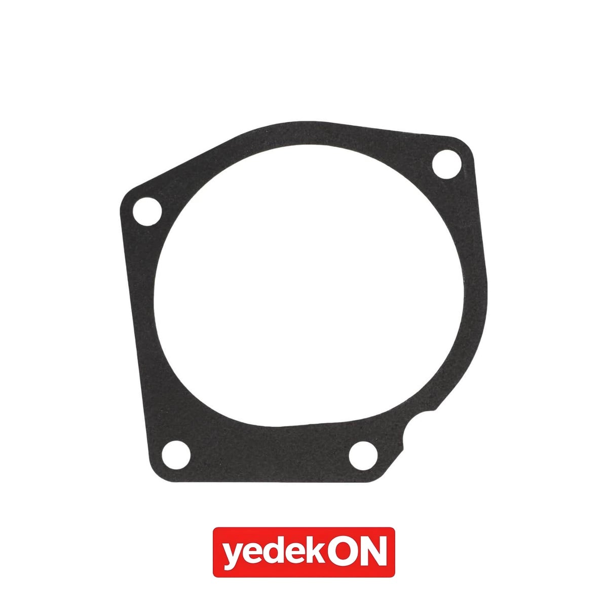 AGCO Su Pompası Contası - Massey Ferguson | 4224387M1