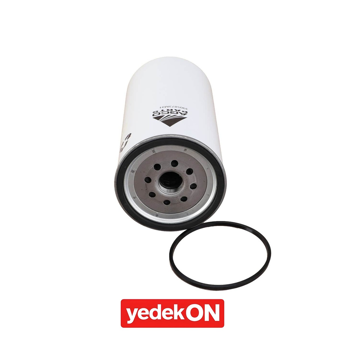 AGCO Yakıt Filtrei - Massey Ferguson | 3905873M91