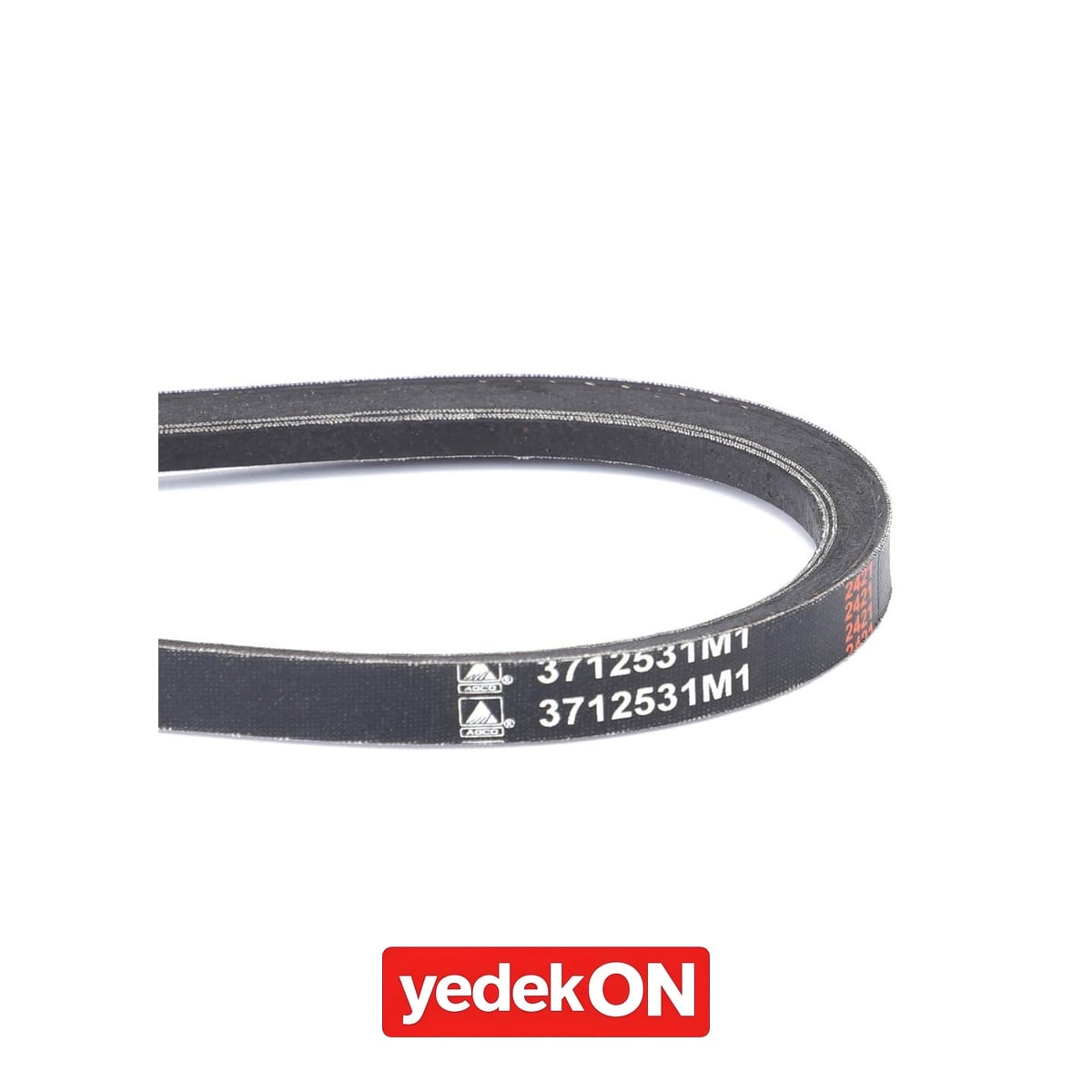 AGCO V-Kayış - Massey Ferguson | 3712531M1