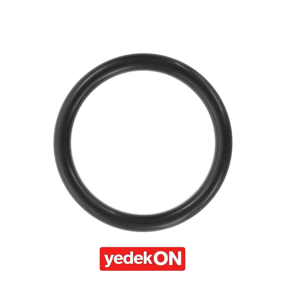 AGCO O-Ring - Challenger | X548885800000