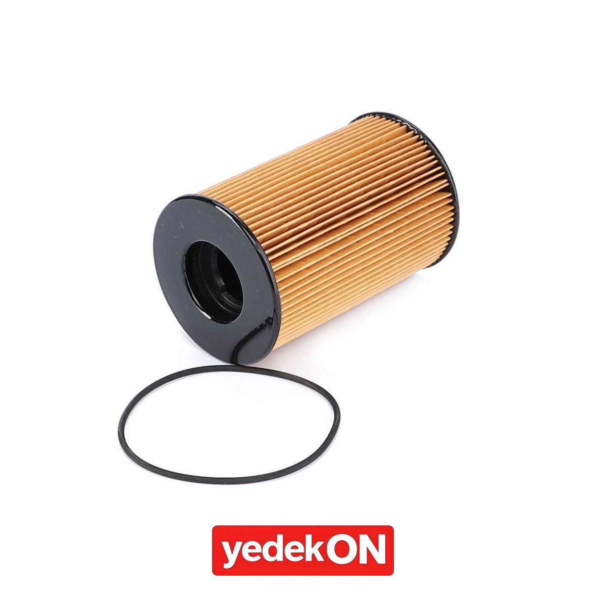 AGCO Yakıt Filtre Kartuşu - Massey Ferguson | 4225393M1