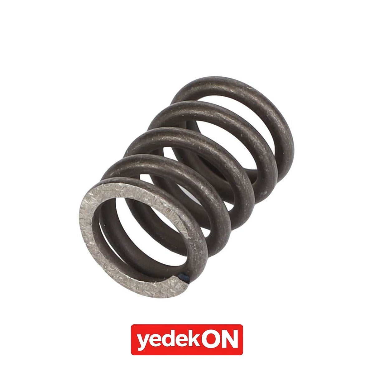 AGCO Sıkıştırma Yay - Challenger | X699313900000