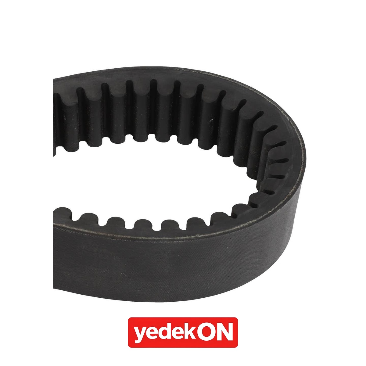 AGCO 2203 mm Hasat Dişli Kayışı - Massey Ferguson / Fendt / Valtra | ACW0501740