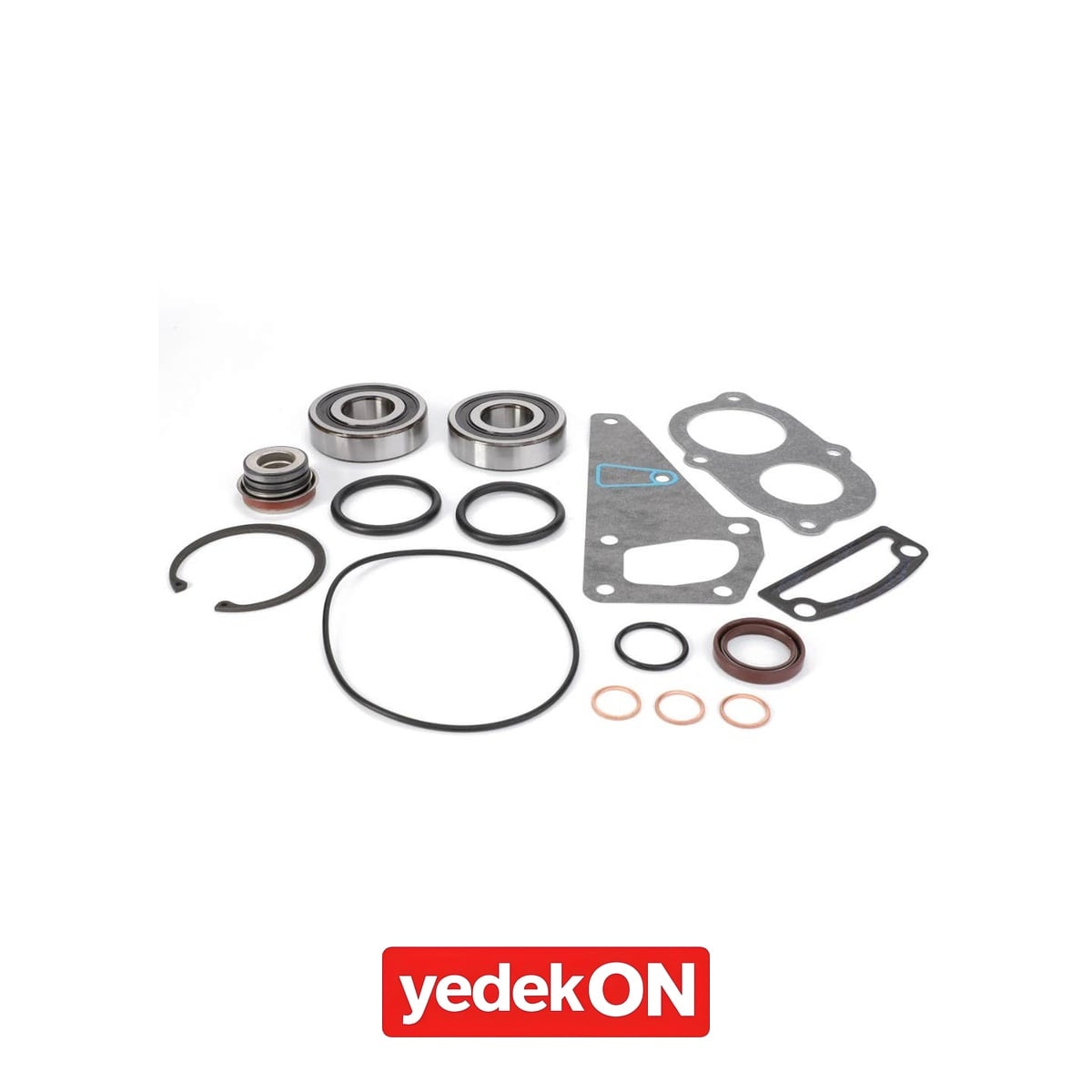 AGCO Su Pompası Tamir Kiti - Valtra | V836862613