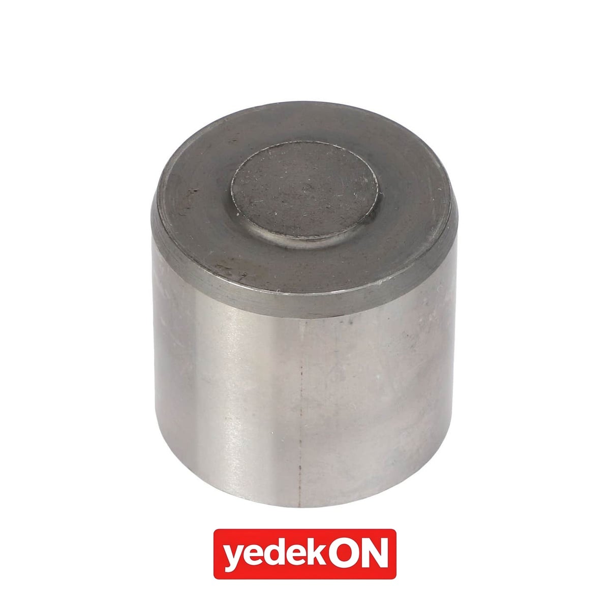 AGCO Fren Pistonları - Massey Ferguson | 4309809M1
