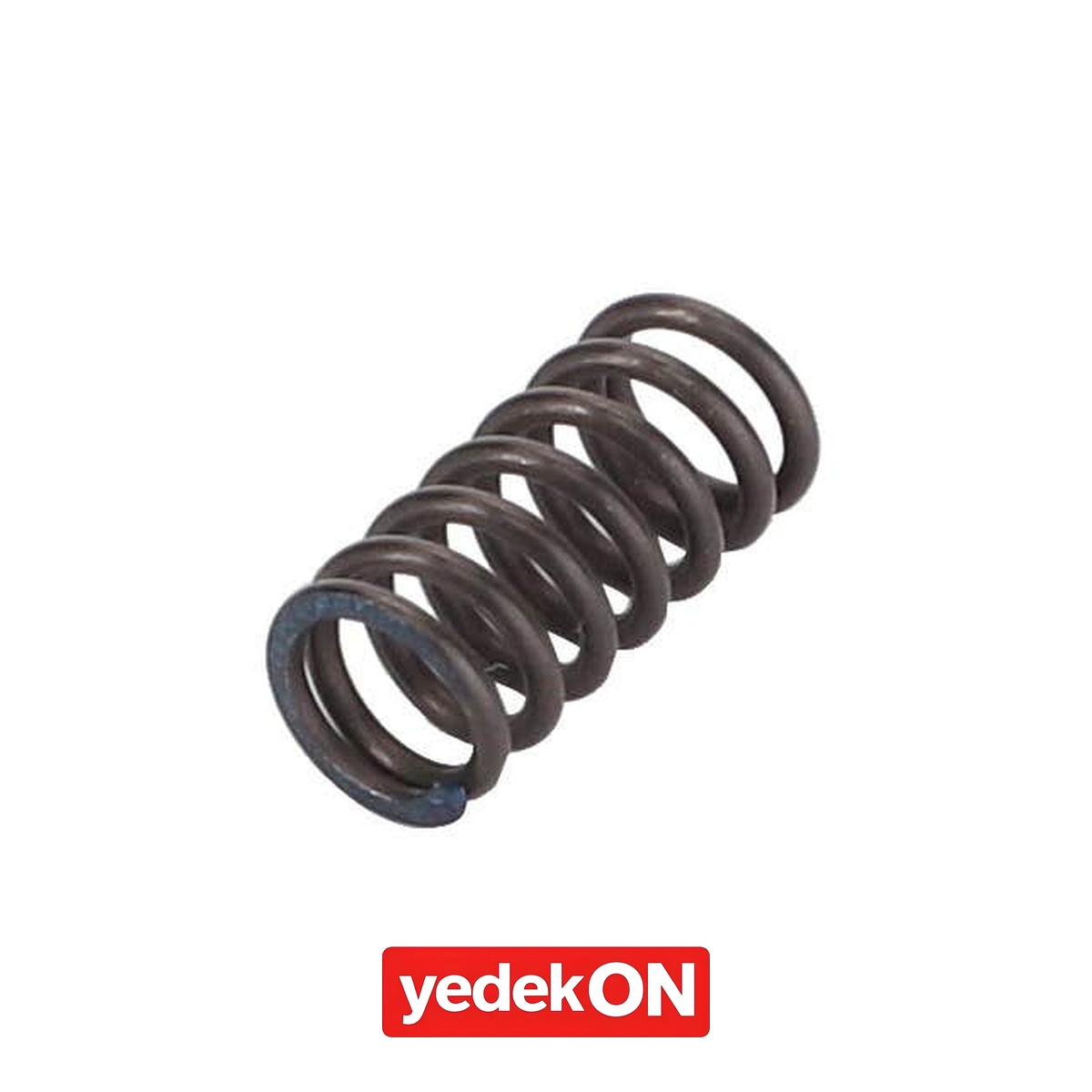 AGCO Sıkıştırma Yay - Challenger | X699304000000