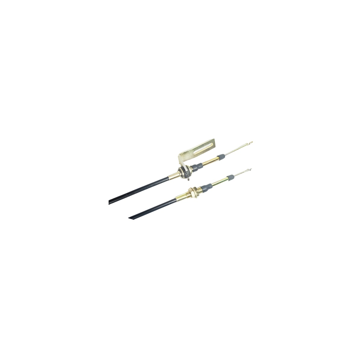 22fee780-2b4e-4d6b-9736-c9a1de64dd8c-50b-a6.jpg