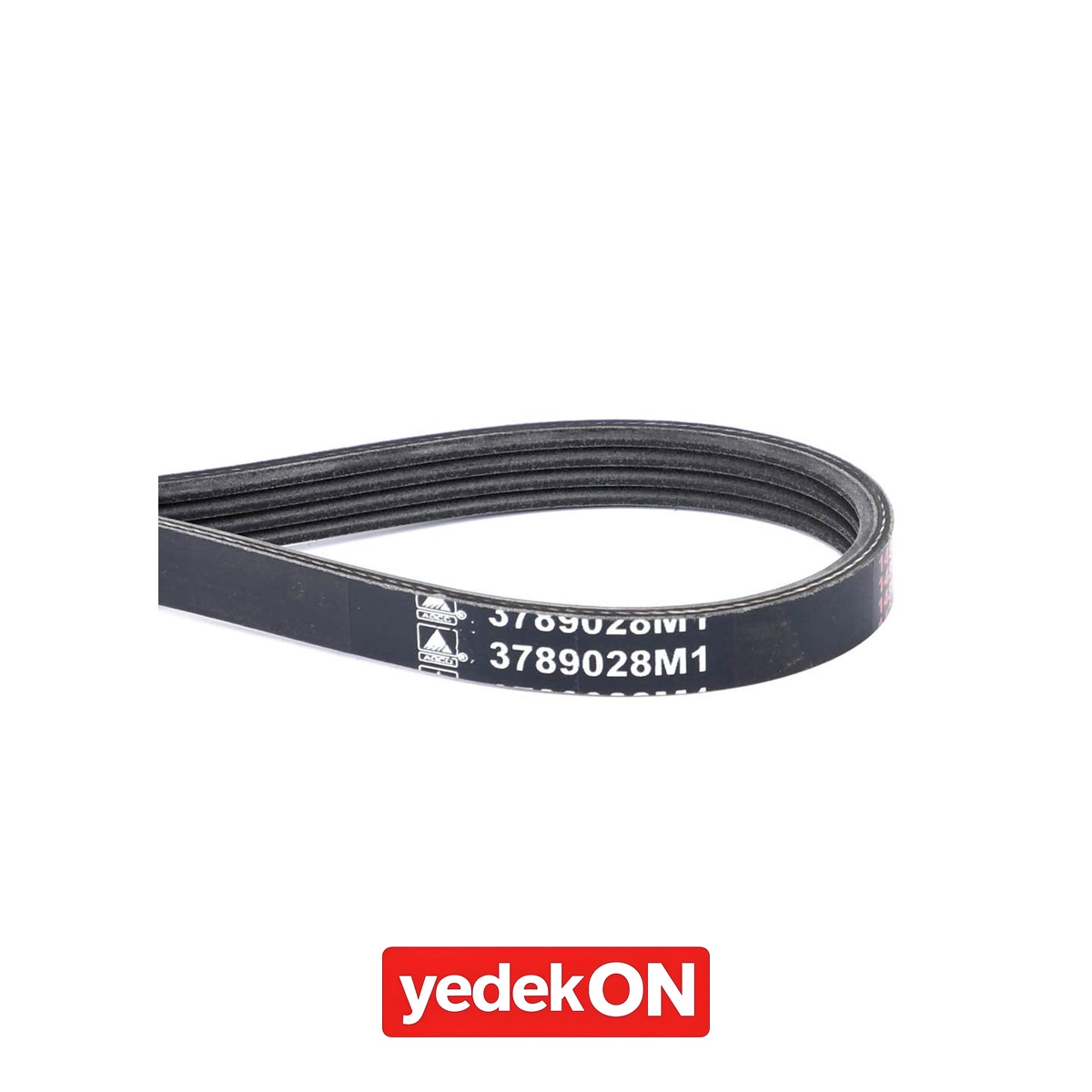 AGCO Serpantin Kayışı PK4 Profili - Massey Ferguson | 3789028M1