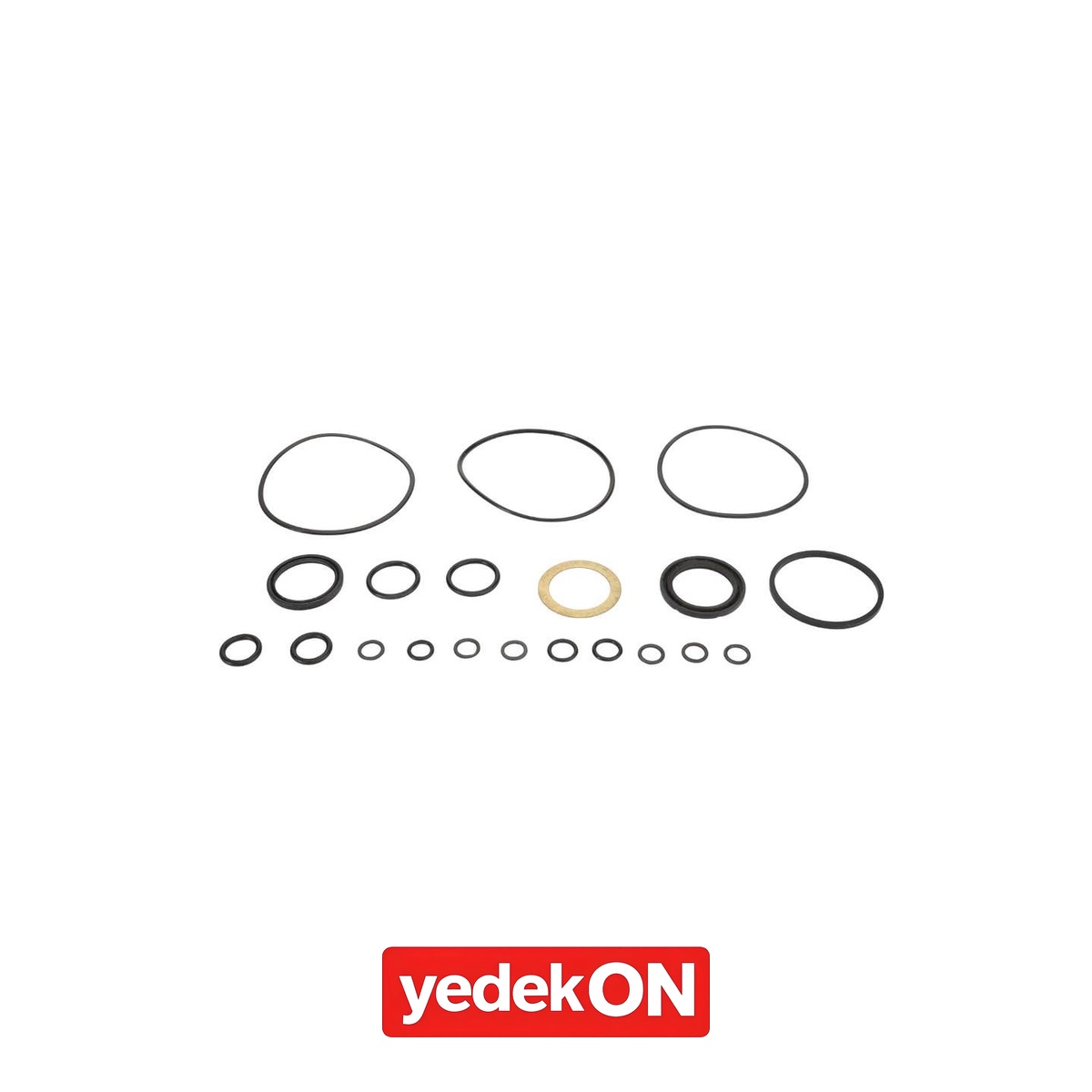 AGCO Onarım Kiti - AGCO | 038296R1