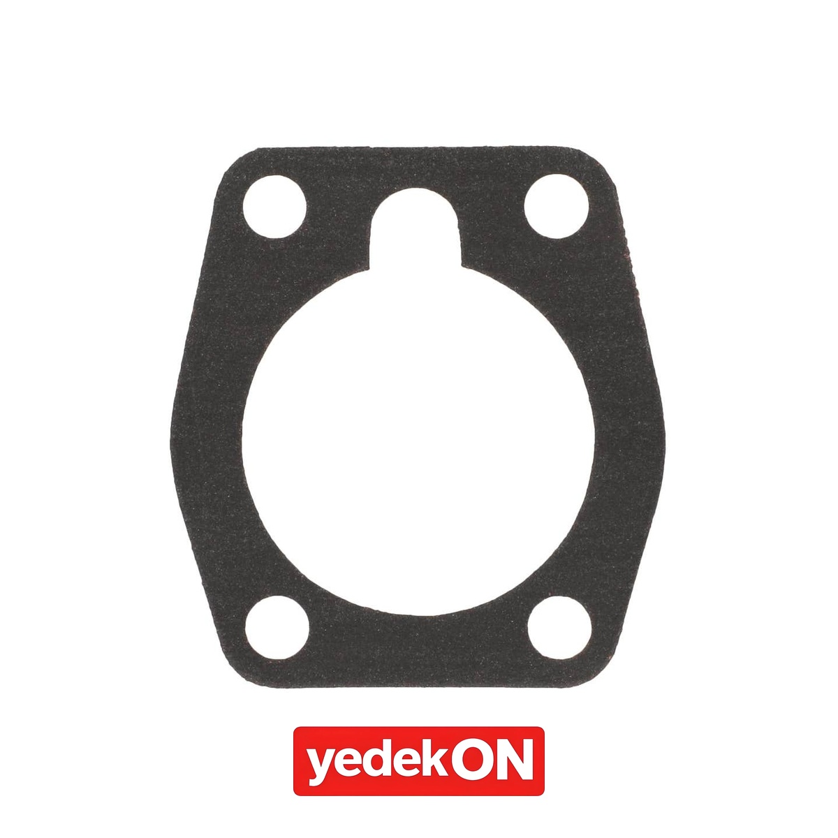 AGCO Eklem - Massey Ferguson | 4224031M1