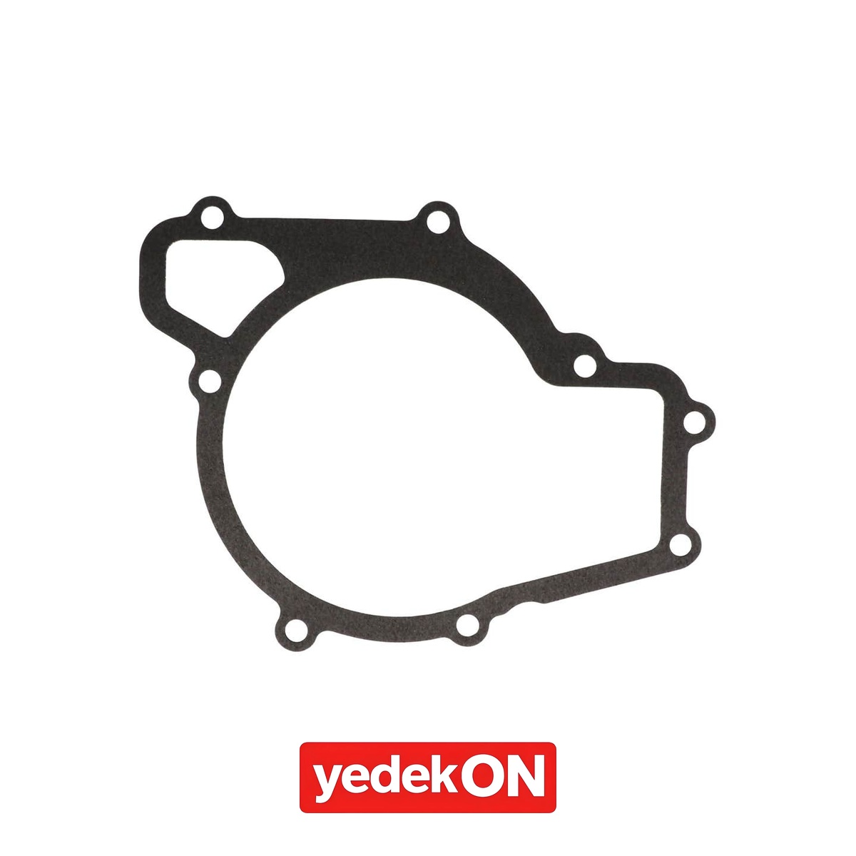 AGCO Su Pompası Contası - Massey Ferguson | 4224103M1