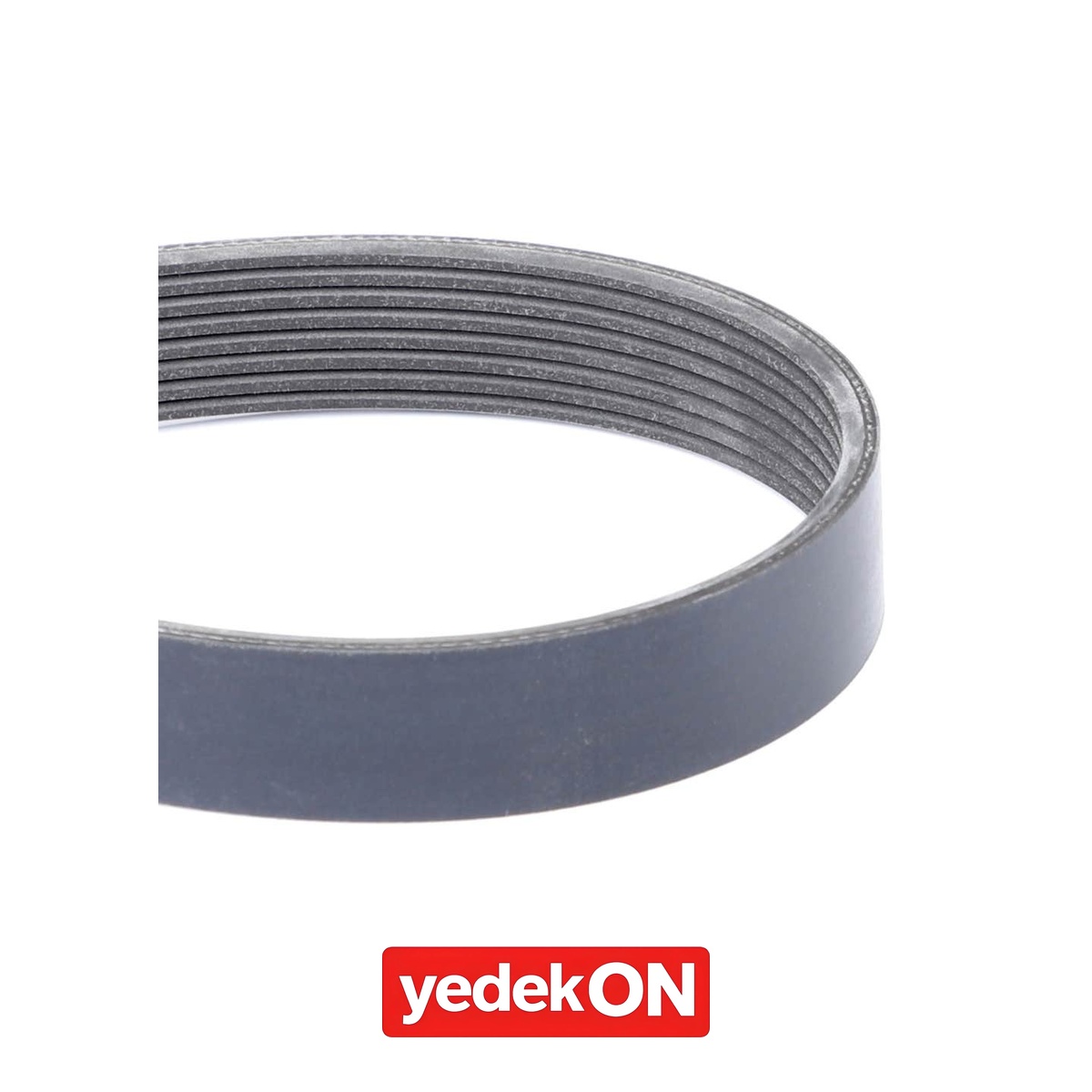 AGCO Serpantin Kayışı PK8 Profili - Massey Ferguson | 4273188M1