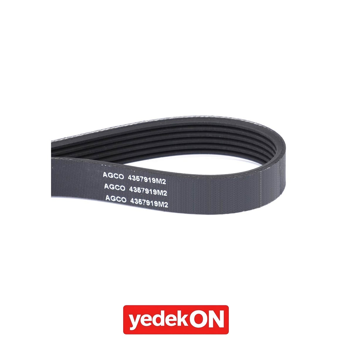 AGCO Kayış - Massey Ferguson | 4357919M2