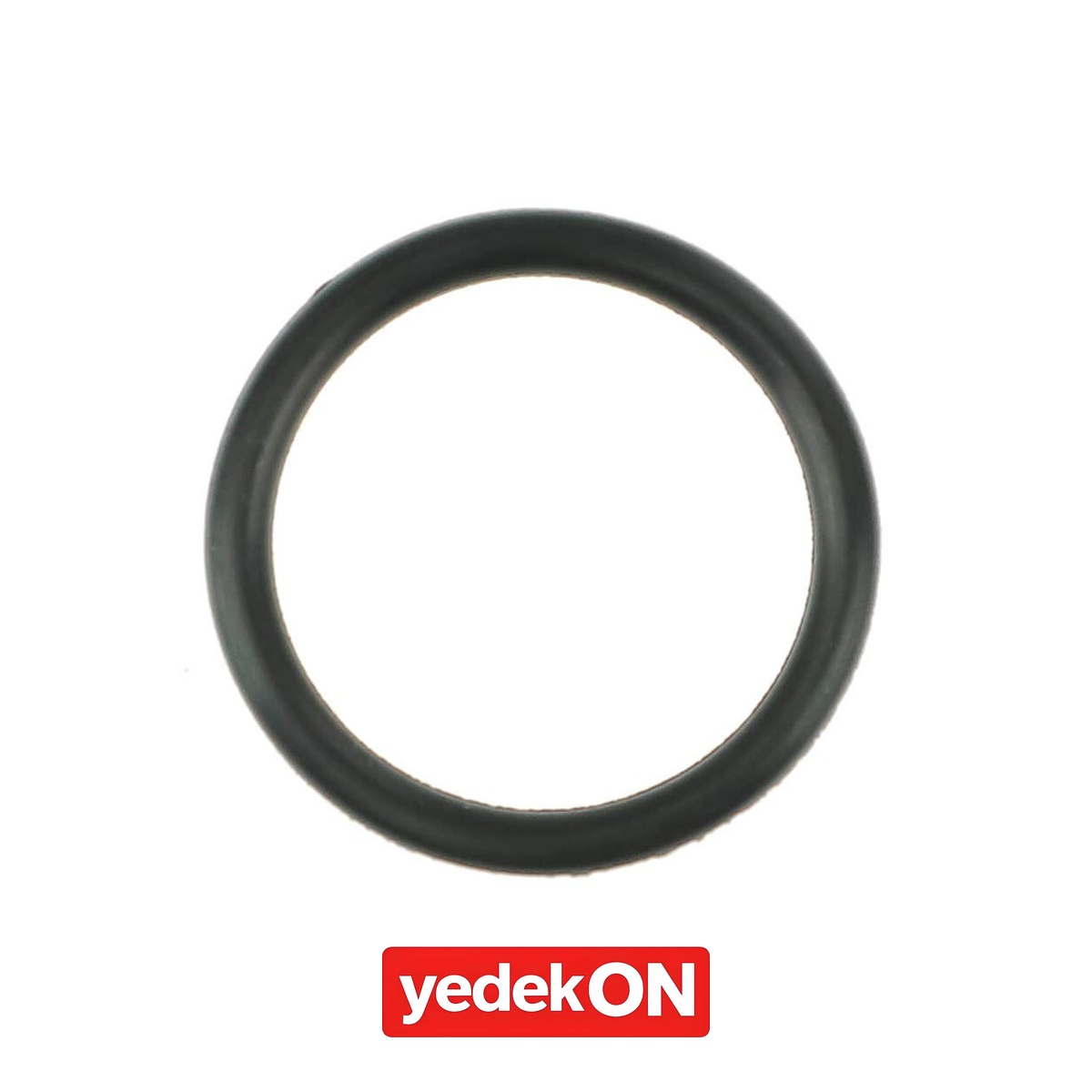 AGCO O-Ring - Massey Ferguson | 3907410M1