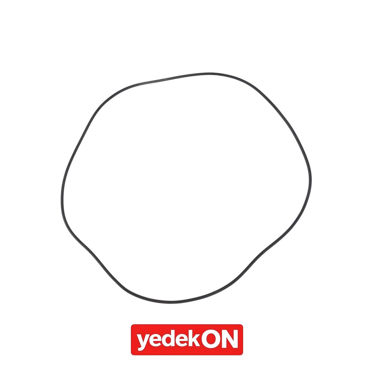 AGCO O-Ring - Massey Ferguson | 3388928M1