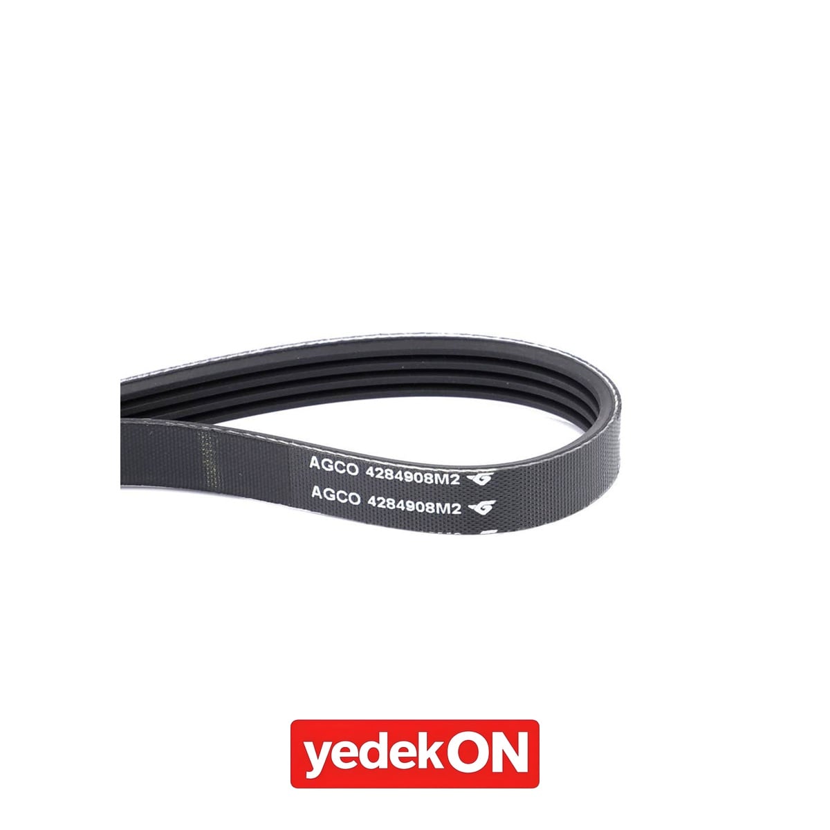 AGCO Serpantin Kayışı PK4 Profili - Massey Ferguson | 4284908M2