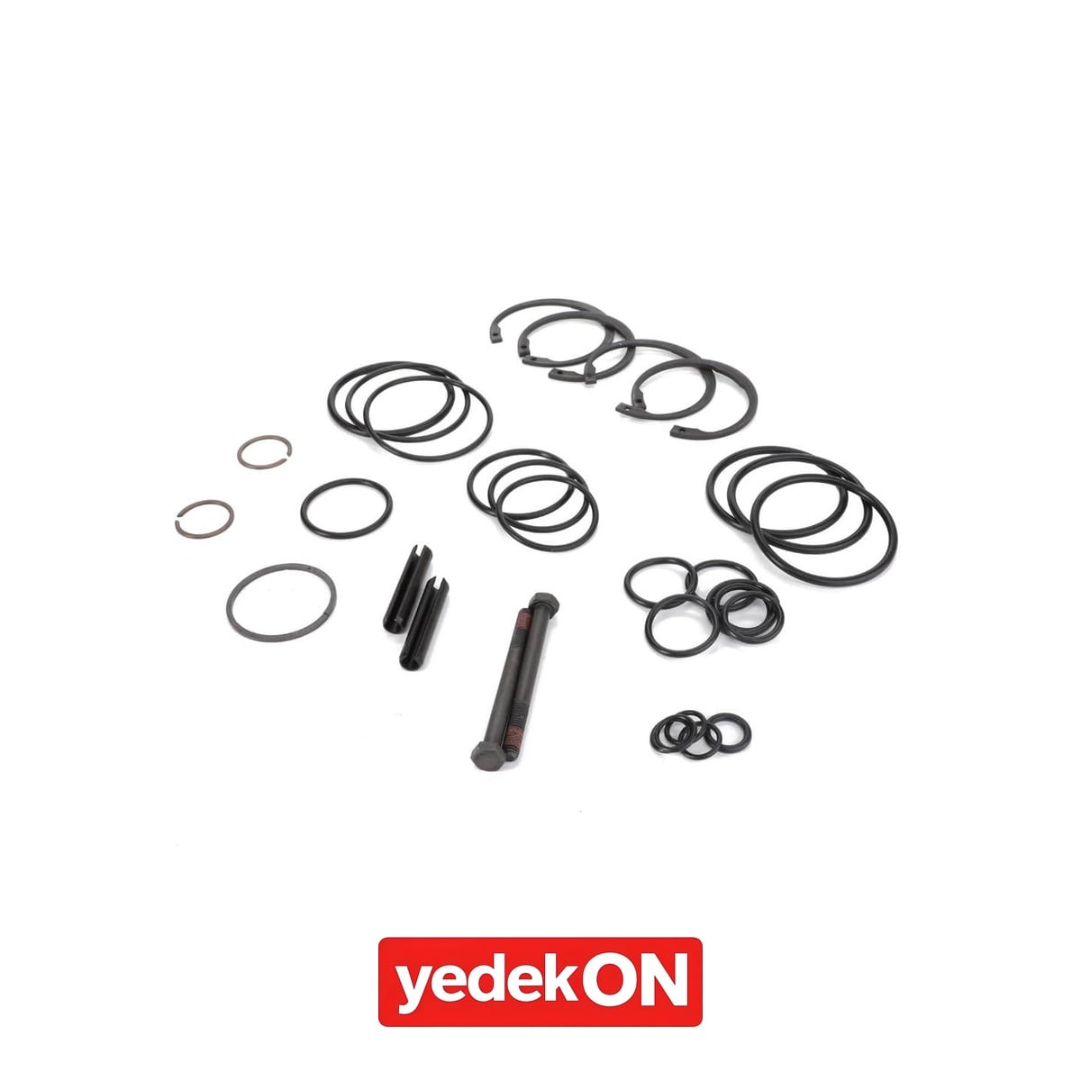 AGCO Servis Kiti - Massey Ferguson | 4307895M12