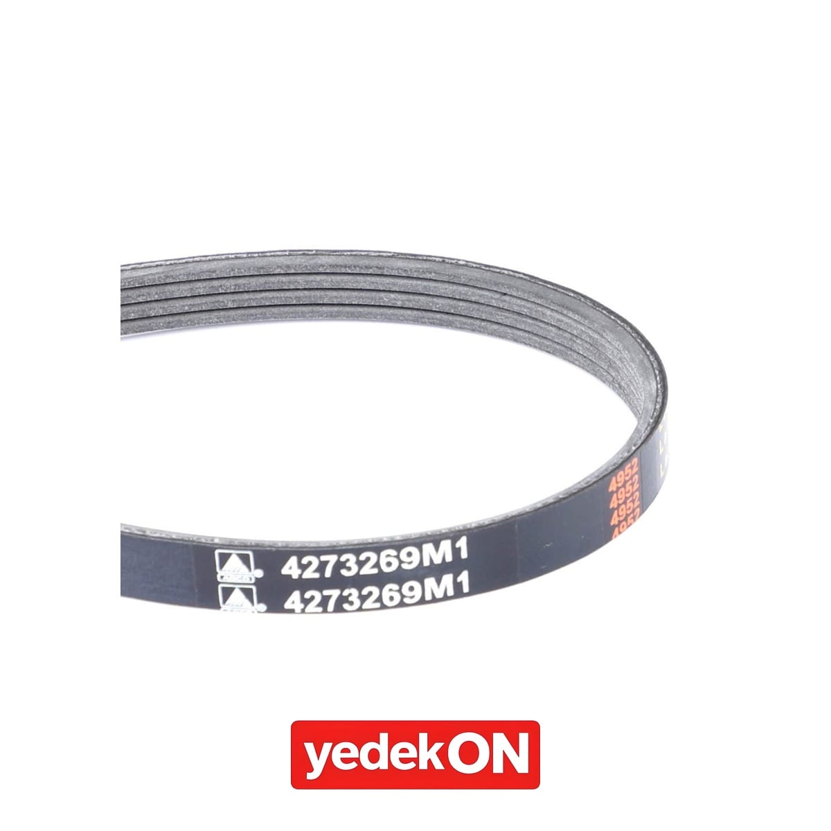 AGCO Serpantin Kayışı PK4 Profili - Massey Ferguson | 4273269M1