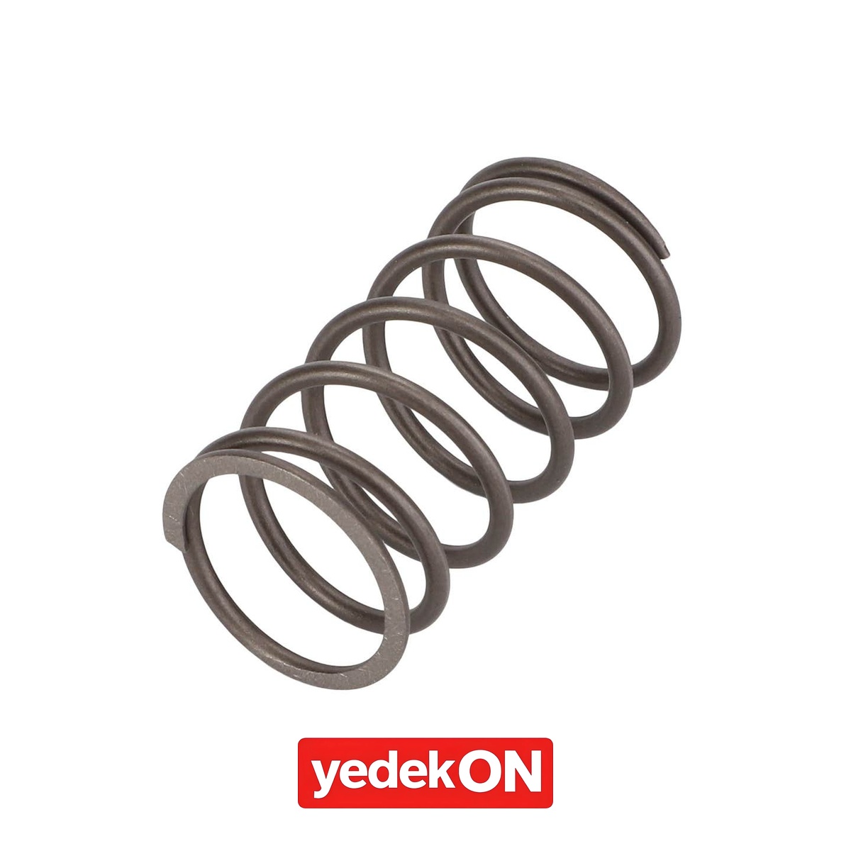 AGCO Sıkıştırma Yay - Massey Ferguson | 3903861M1