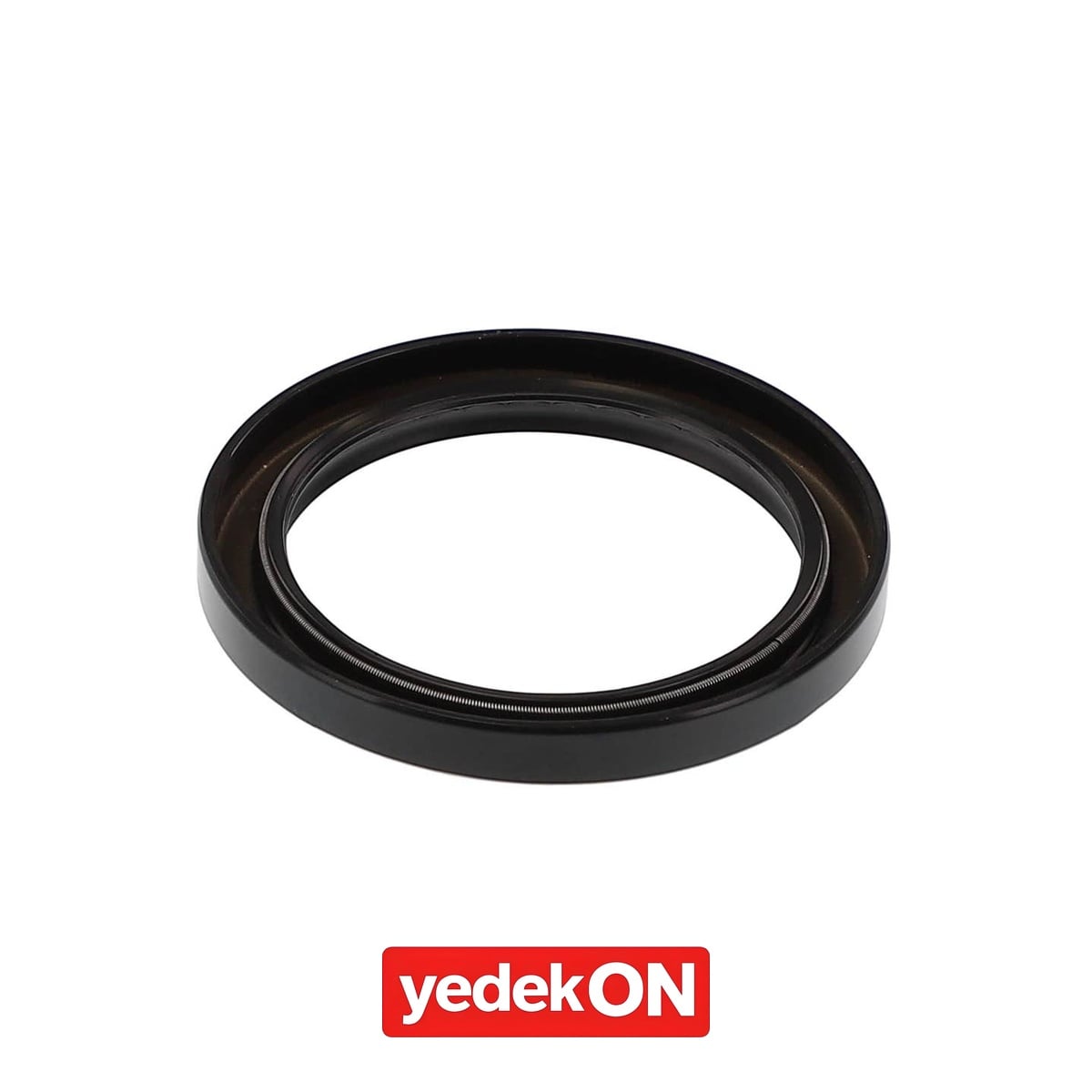 AGCO Keçe - Massey Ferguson | 1691368M1