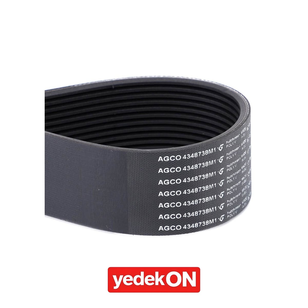 AGCO Kayış - Massey Ferguson | 4348738M1