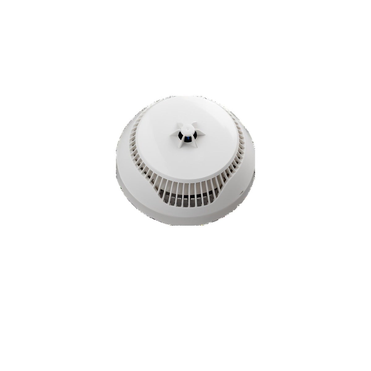 4985fc82-1aed-422b-8c30-323384ce09a0-e-f171.jpg