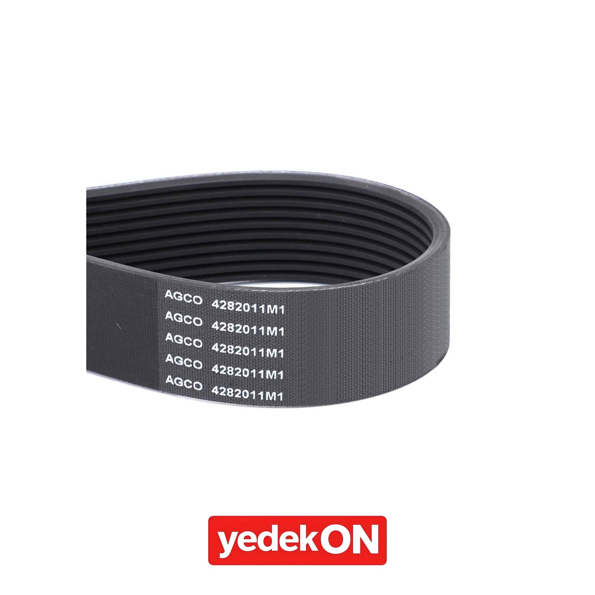AGCO Serpantin Kayışı PK10 Profili - Massey Ferguson | 4282011M1
