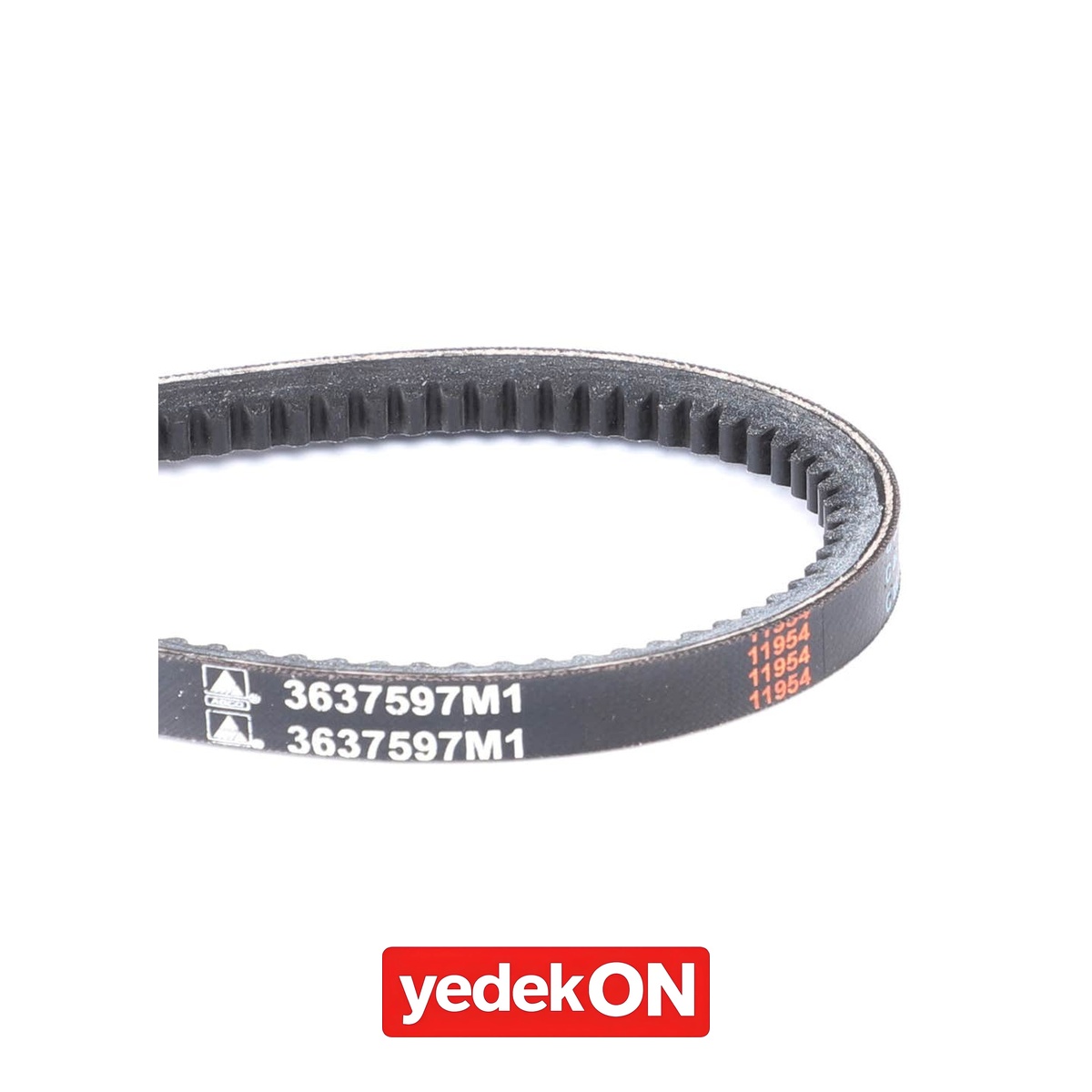 AGCO V-Kayış - Massey Ferguson | 3637597M1