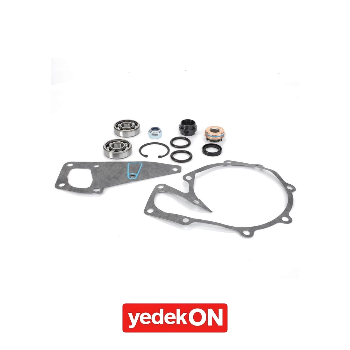 AGCO Su Pompası Tamir Kiti - Valtra | V836840101
