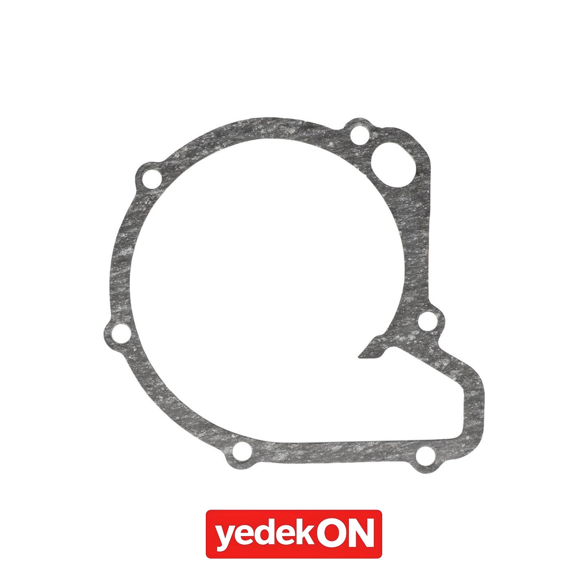 AGCO Su Pompası Contası - Massey Ferguson | 4224092M1