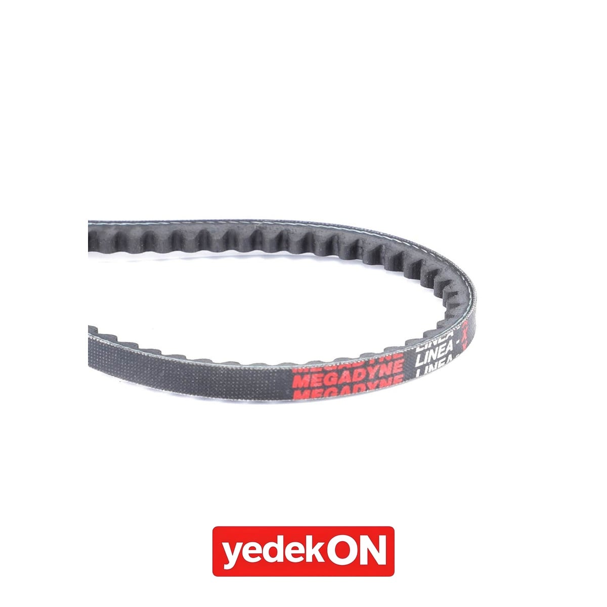 AGCO V-Kayış - Massey Ferguson | 3651229M1