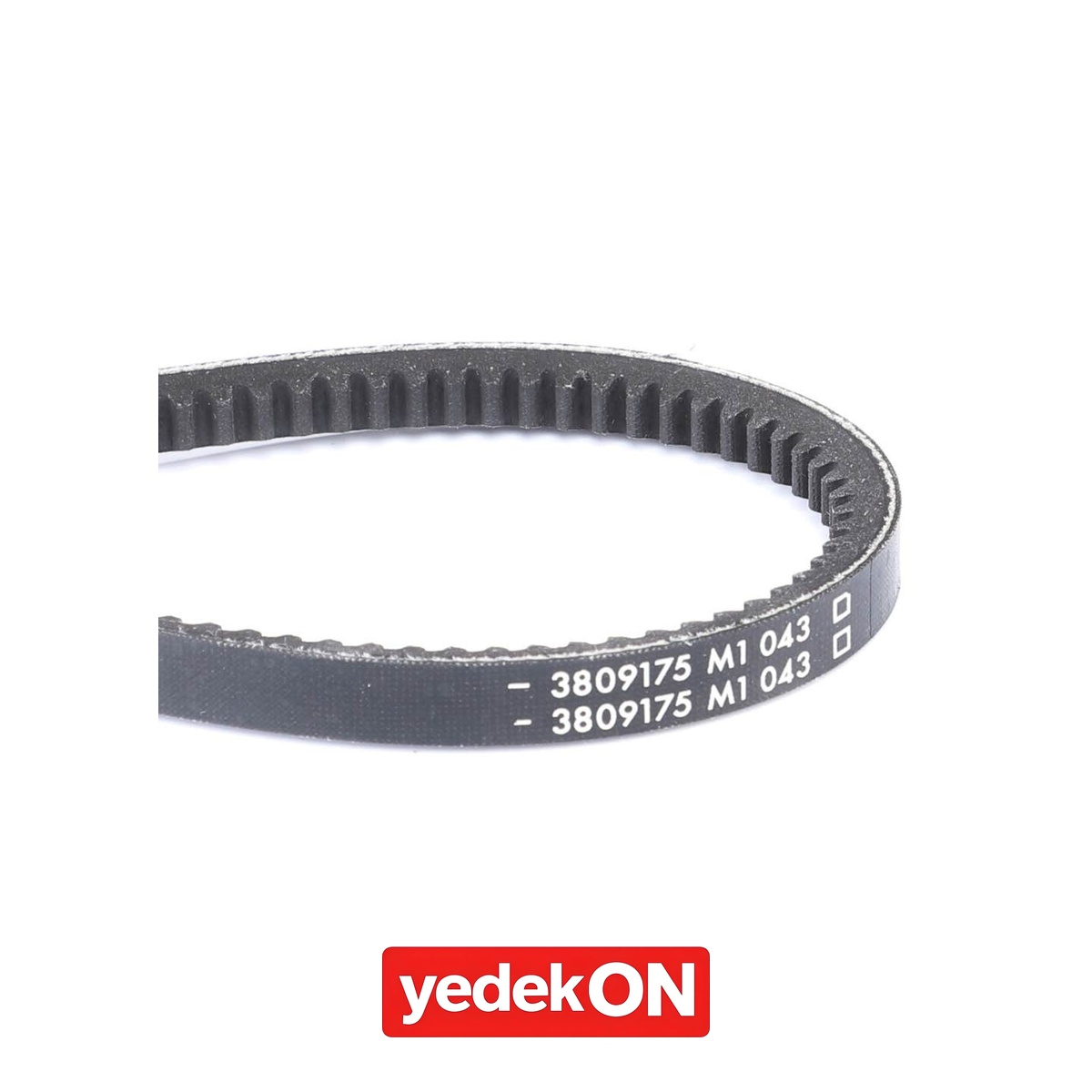 AGCO V-Kayış - Massey Ferguson | 3809175M1