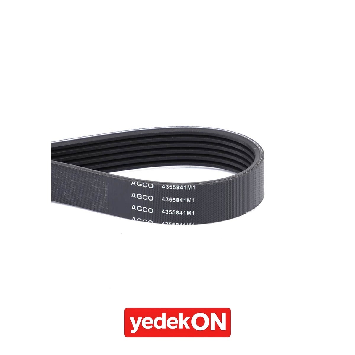 AGCO Serpantin Kayışı PK6 Profili - Massey Ferguson | 4355841M1