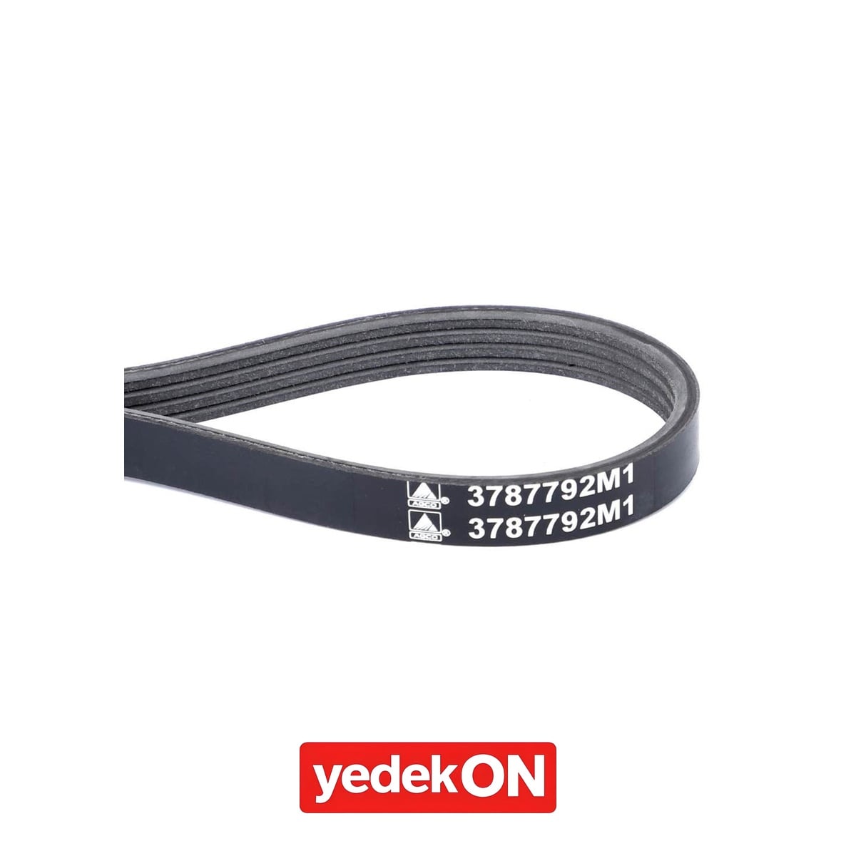 AGCO Serpantin Kayışı PK4 Profili - Massey Ferguson | 3787792M1